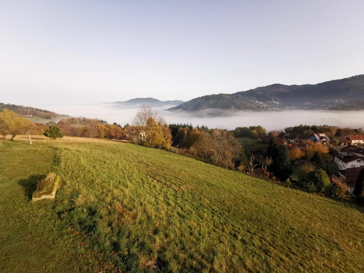 Villa Haus Am Berg Mit Wellnessbereich, Bar Und Panorama Bühlertal Esterno foto