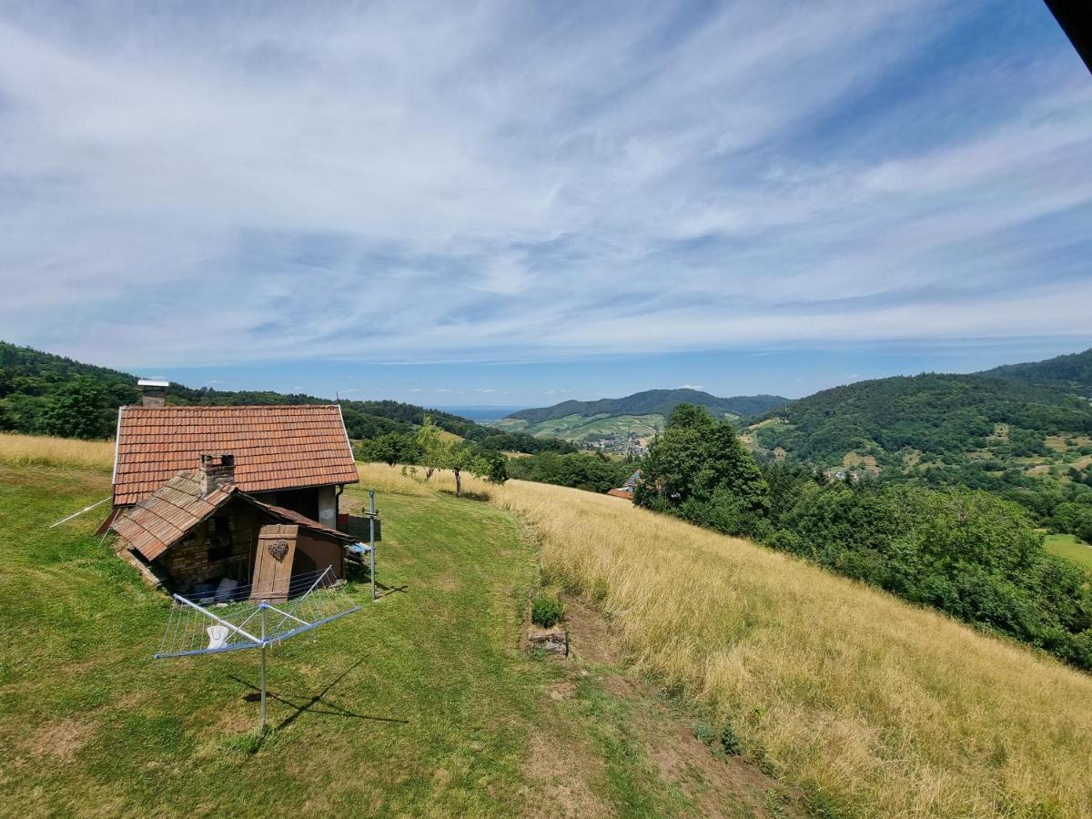 Villa Haus Am Berg Mit Wellnessbereich, Bar Und Panorama Bühlertal Esterno foto