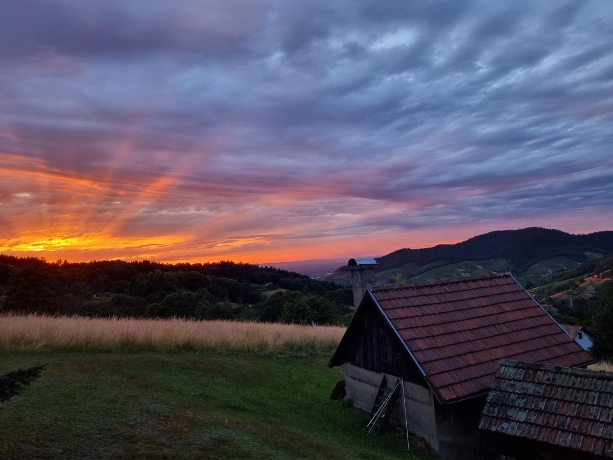 Villa Haus Am Berg Mit Wellnessbereich, Bar Und Panorama Bühlertal Esterno foto