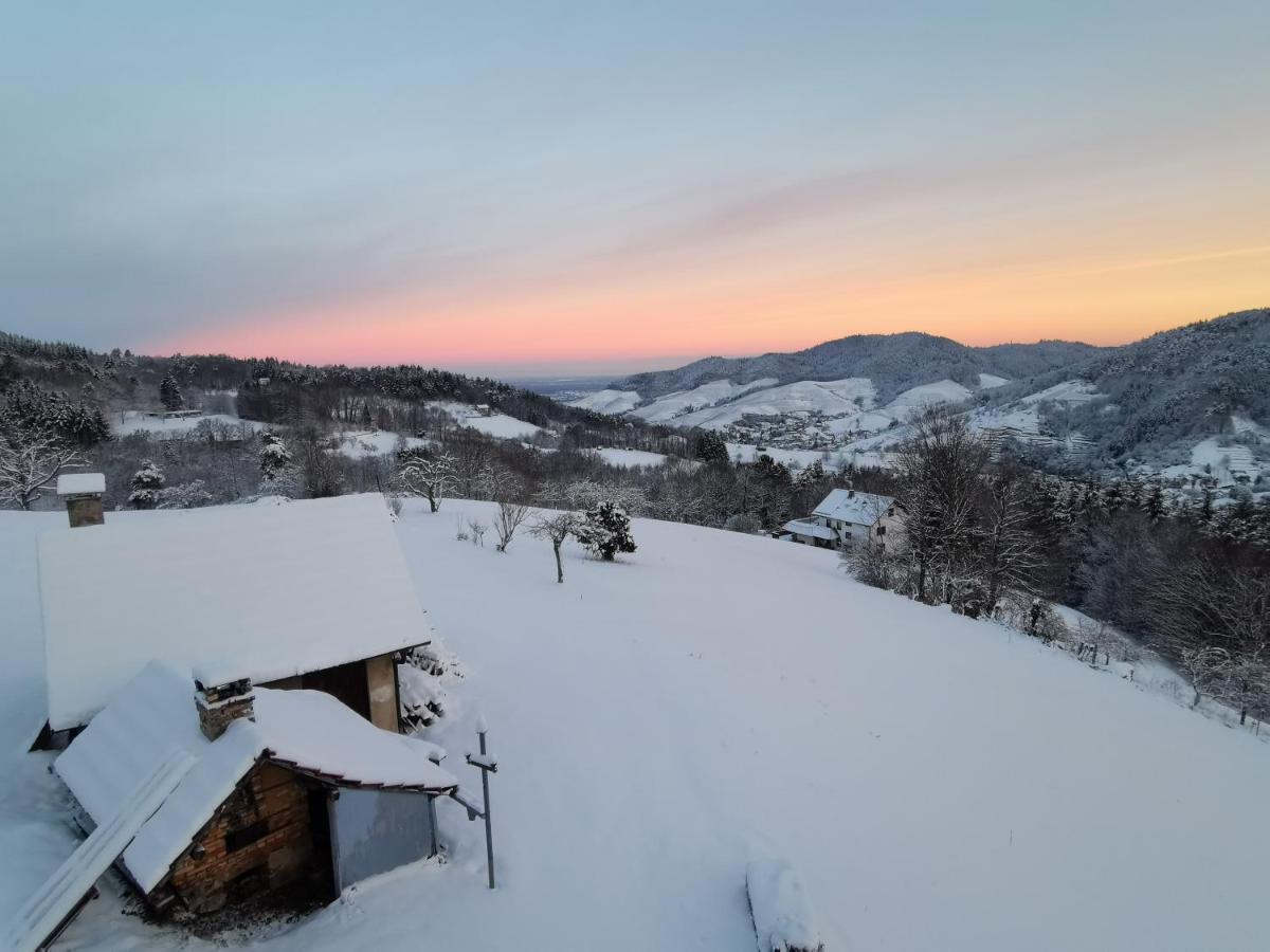 Villa Haus Am Berg Mit Wellnessbereich, Bar Und Panorama Bühlertal Esterno foto